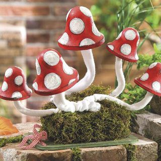 Fliegenpilze im Moosbett