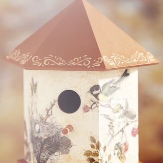 vogelhaus krakelierlack