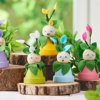 Kreativ-set Pflanzenmädchen Videobild