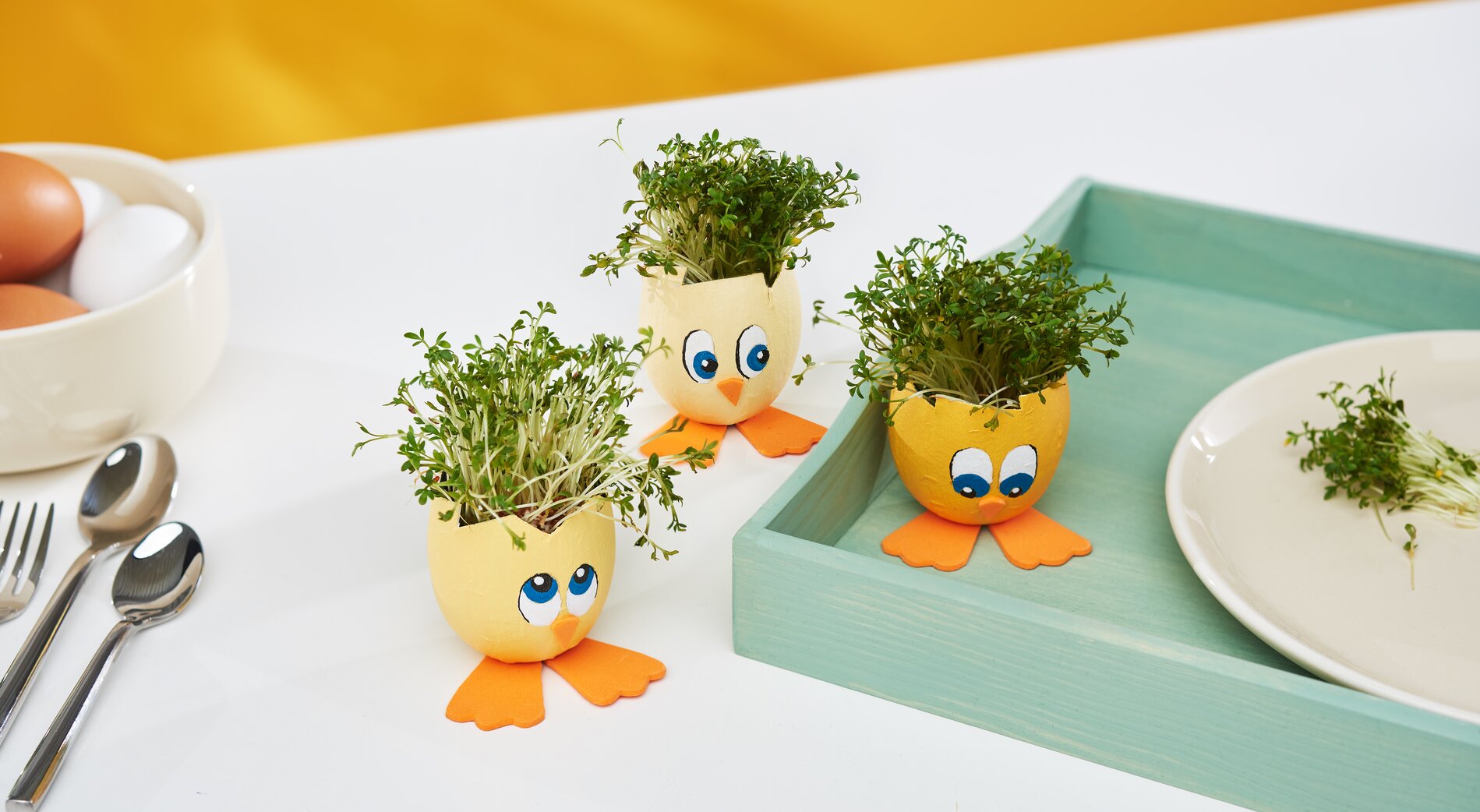 küken aus Eierschalen