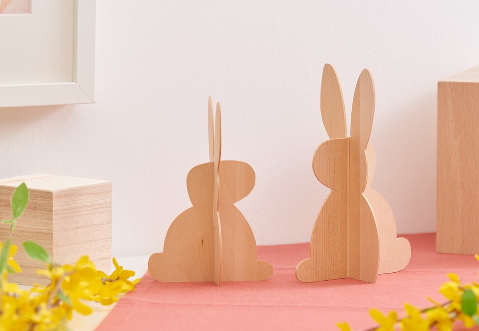 cricut hase