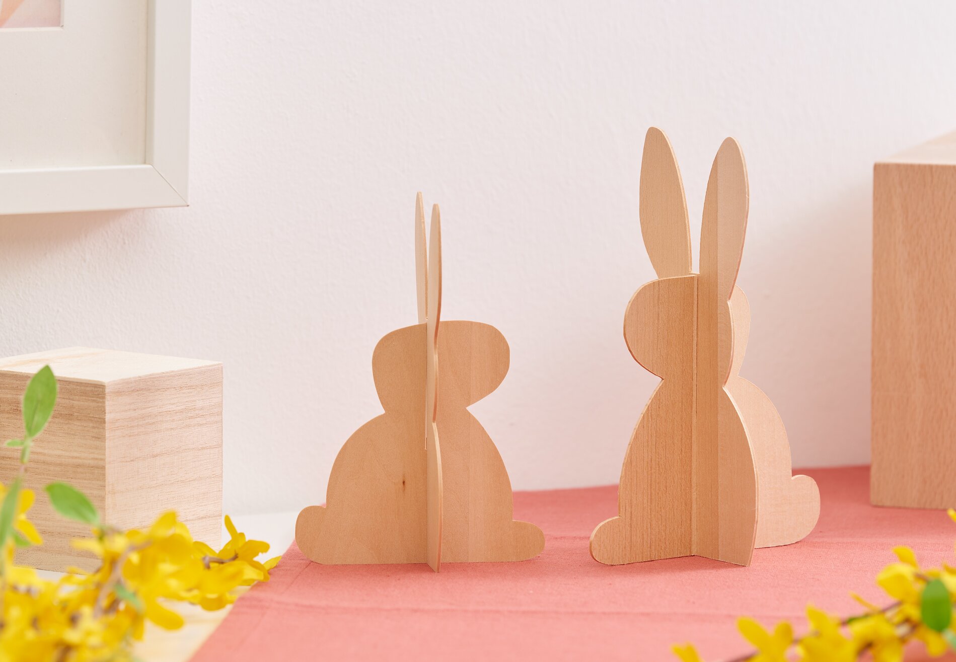 cricut hase