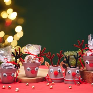 VBS Řemeslná sada "los v hliněném květináči