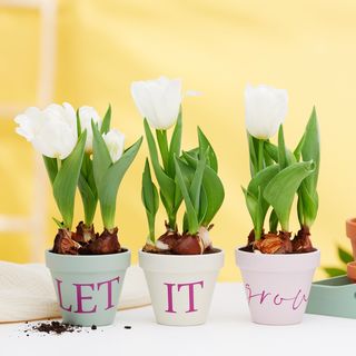 Navrhování hliněných květináčů s Cricut Joy