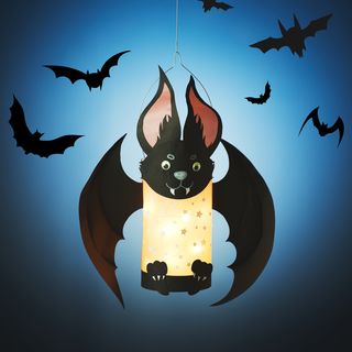Lantern bats