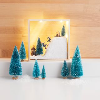Winter Scene in a Picture Frame