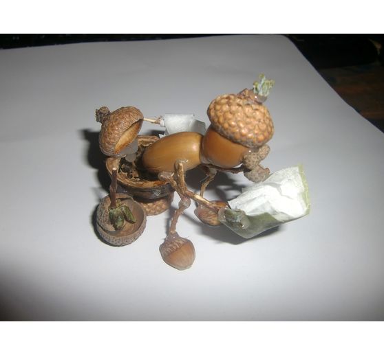 01_oegge57_Fast alles Natur_Kategorie Natur