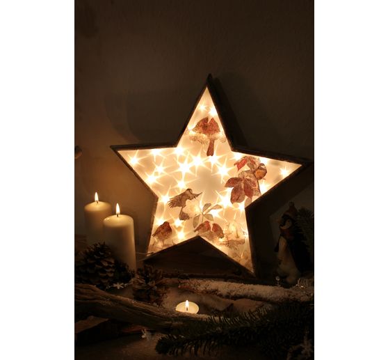 242_Elena_Vogelgezwitscher im Sternenglanz_Kategorie Klassisch