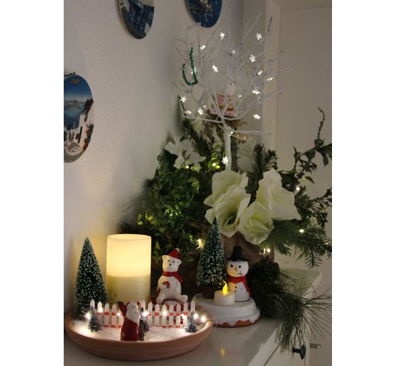 319_MXCora_Phantasievolle Vorweihnachtszeit_Kategorie Natur