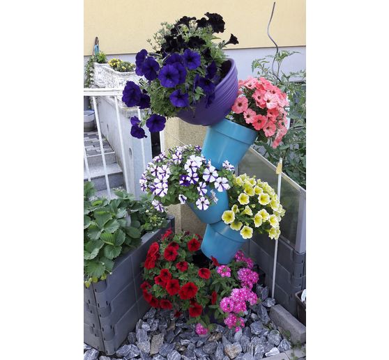 57_Trischa_Blumenturm von Pisa