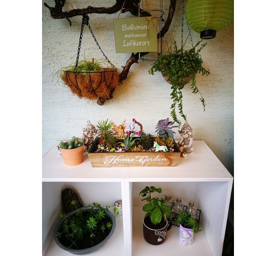 69_finschen_Feen Welt