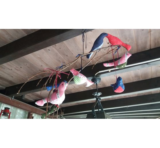 100_bulky55_Amsel, Drossel, Fink und Star