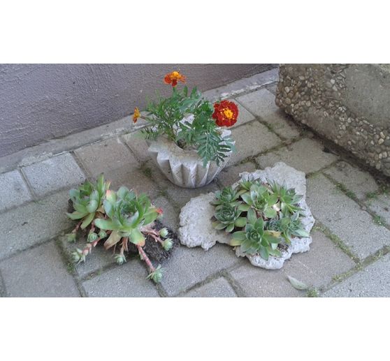 127_Binchen_Sommer-Sonne-Spa&szlig;