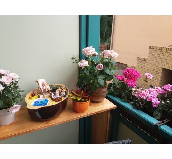 53_siebendesgeislein_Baby am Pool