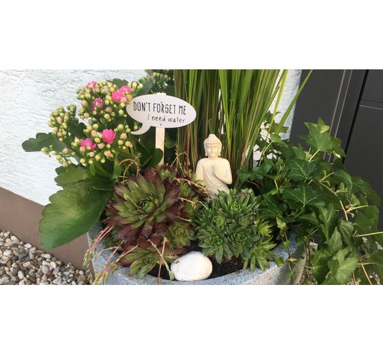 69_Sweetyxx_Sch&ouml;ne Dinge in einem U-Topf