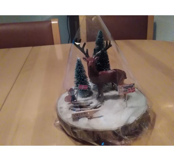 67_Gabi_D&auml;nische Winterwelt