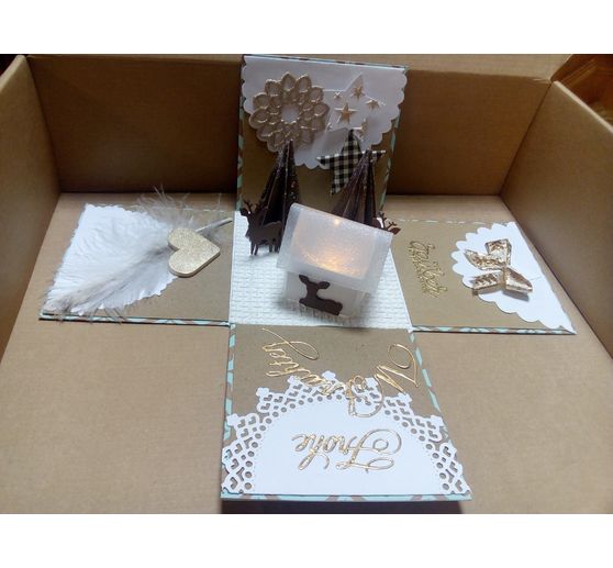 162_Rose_Explosionsbox mit Beleuchtung