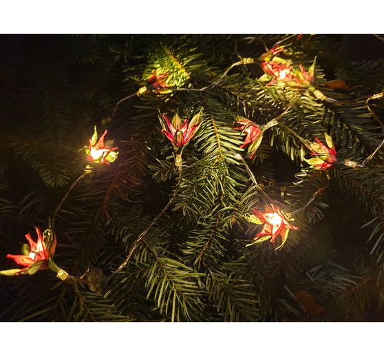 225_Jenelyn_Lichterkette Weihnachtsstern