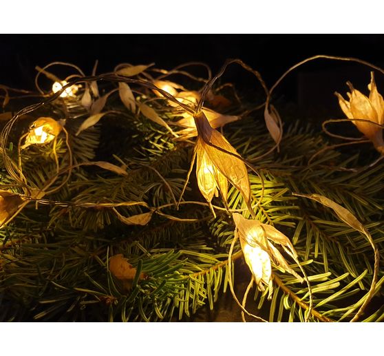 226_Jenelyn_Lichterkette Winterbl&uuml;te