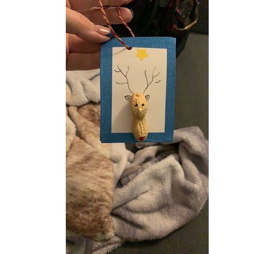 432_Wrobelchen_Geschenkanh&auml;nger mit Naturmaterial und Masking Tape