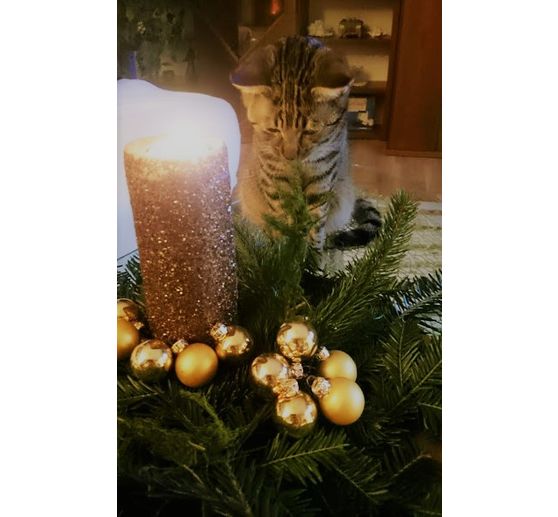 443_Bi_Weihnachten mit K.C.