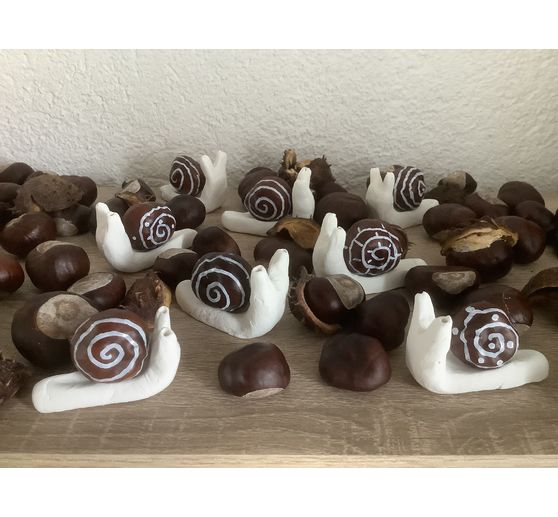 149_Tom_Kastanien-Schnecken