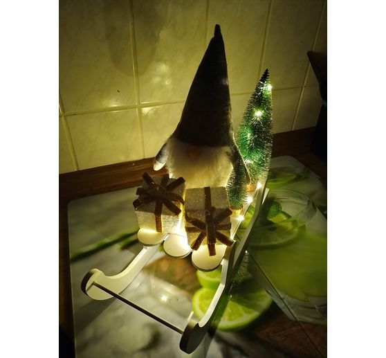 92_Steffi_Schlittenfahrt