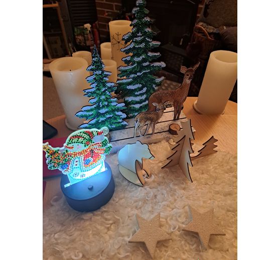 328_Eulentante_Winter-Wald