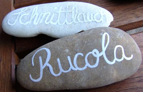 Steine Rucola Schnittlauch Steine Rucola Schnittlauch