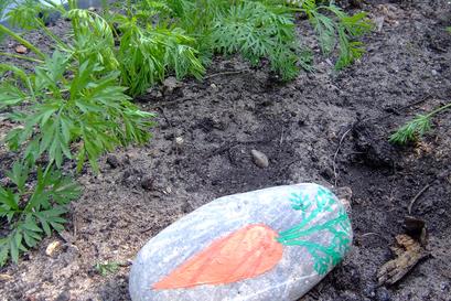 Steine bemalen Karotte Steine bemalen Karotte