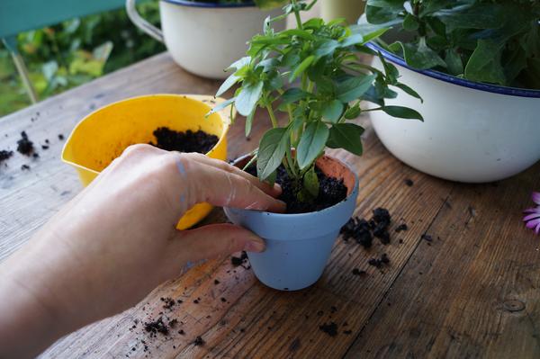 Kinderbasteln 96 Basteln mit Kindern