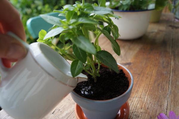 Kinderbasteln 319 Basteln mit Kindern