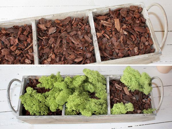 Pflanzenkorb als Osterdeko selber machen 