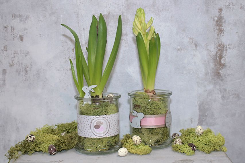 DIY: Fr&uuml;hlingsdeko im Glas