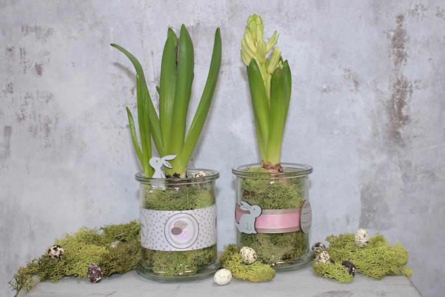 Frühling Im Glas mit Blumen im Glas als Frühlingsdeko