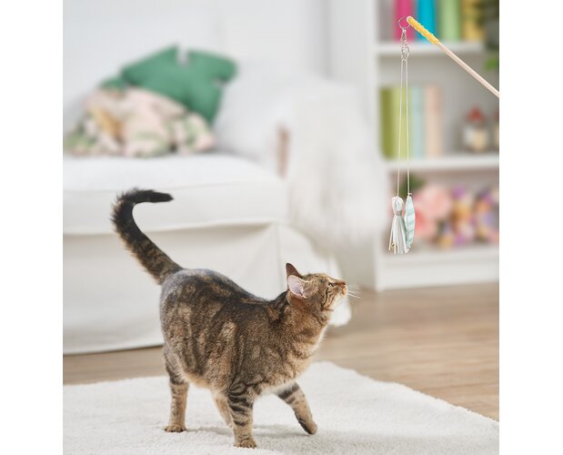 Spielangel für Katzen