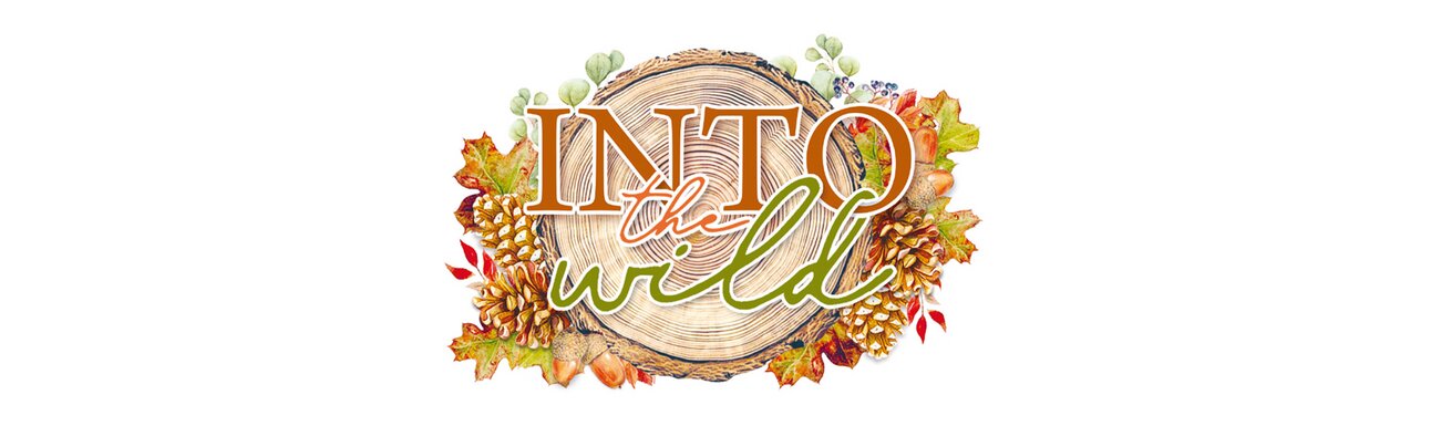 Ciao-Bell_into the wild