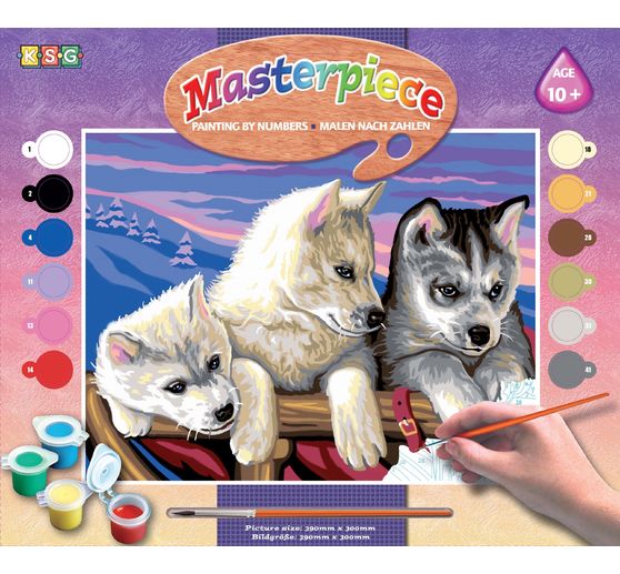 Painting by numbers "Huskies"