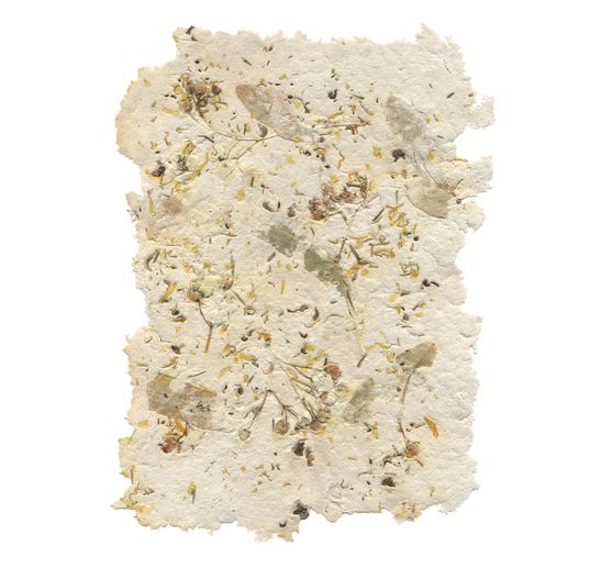 Cellulose boards white