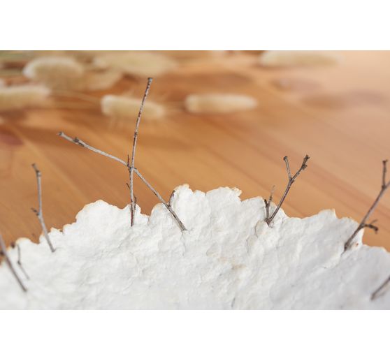 Eucalyptus cellulose, long