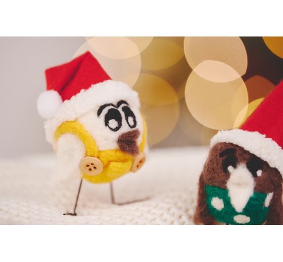 VBS "Dry felting" starter set