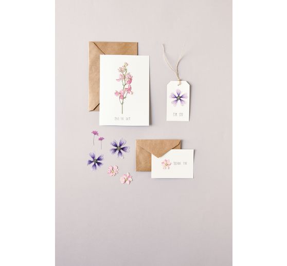 Rico Design Mix Set pressed flowers "Pink Violet"