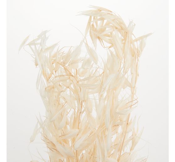 Bleached wild oats, approx. 25 g, L approx. 70 cm