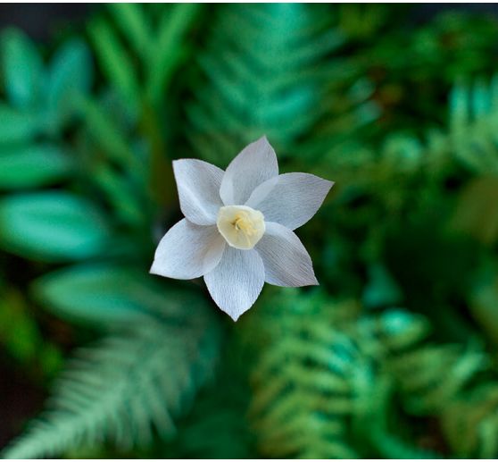 Lia Griffith, Extra fine crêpepaper "Secret Garden"