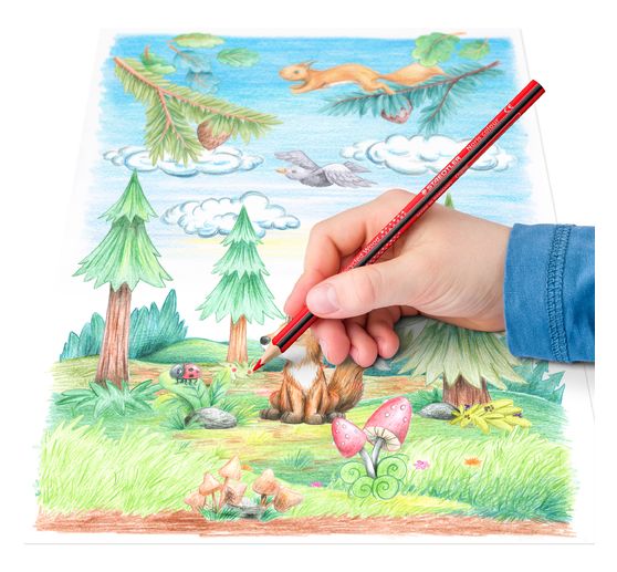 STAEDTLER Noris color "Barevné tužky", sada 12 ks