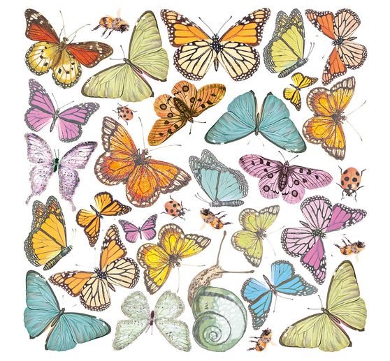 Pergamenový papír "Kouzelná země"