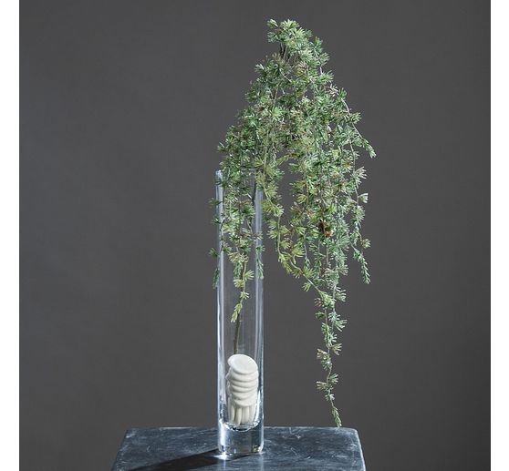 Modřínová větev s ledovými šiškami