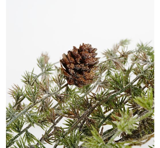 Modřínová větev s ledovými šiškami