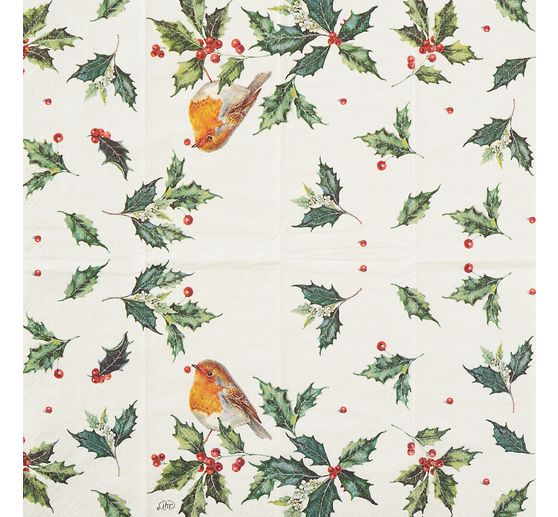 Papírový kapesník "Robin"