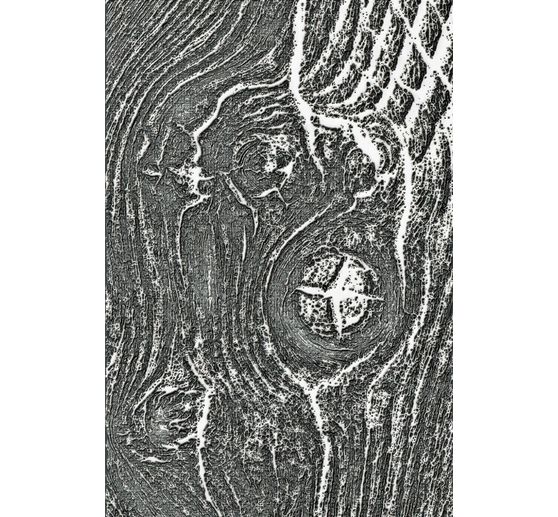 3D embosovací šablona Sizzix "Woodgrain by Tim Holtz"